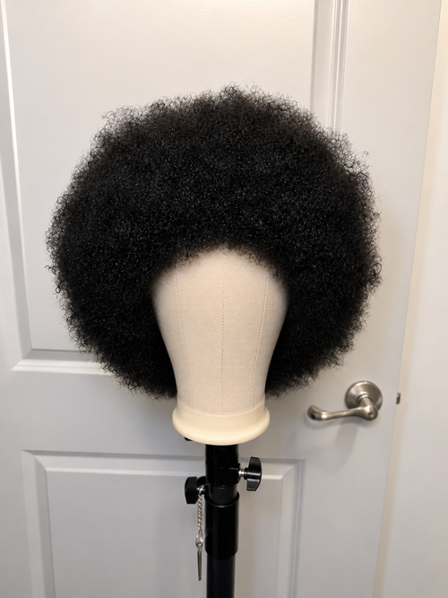 Natural Afro Kinky Curly Human Hair Wig